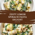 Easy Pasta Recipes:Lemon Spinach Pasta Recipe