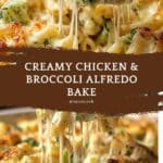 Chicken and Broccoli Alfredo Bake Recipe