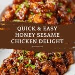 Quick & Easy Honey Sesame Chicken Recipe