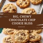Best Big, Fat, Chewy Chocolate Chip Cookie Recipe