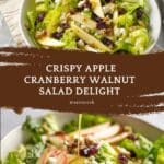 Apple Cranberry Walnut Salad Recipe