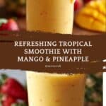 Tropical Smoothie Recipe
