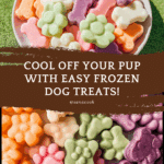 Easy Frozen Dog Treats (5 Flavors!) Recipe