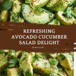 Avocado Cucumber Salad Recipe