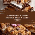 Easy S'mores Brookie Bars Recipe