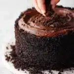 Brooklyn Blackout Cake Recipe