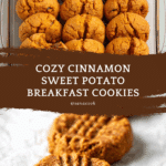 Cinnamon Sweet Potato Breakfast Cookies Recipe