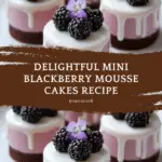 Mini Blackberry Mousse Cakes Recipe