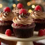 Chocolate Raspberry Cupcakes Recipe