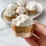 Mini Pumpkin Pie Cups Recipe