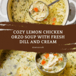 Lemon Chicken Orzo Soup Recipe