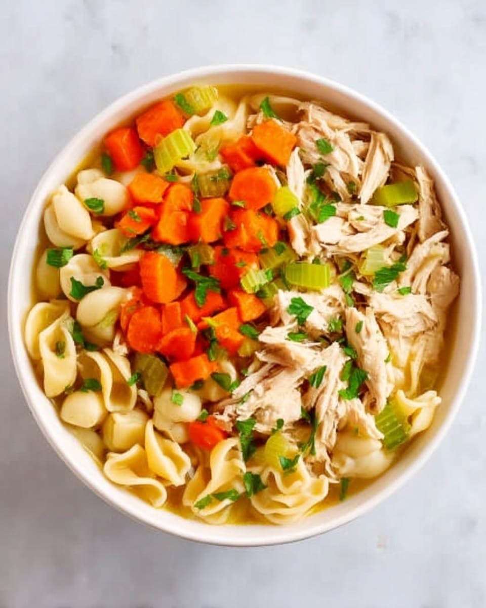 A white bowl filled with slow cooker chicken noodle soup is held by two woman's hands wearing a green knitted sweater. The soup shows multiple layers starting with a clear golden broth at the base, topped with wide curly egg noodles in a pale cream color. Scattered throughout are slices of soft orange carrots, light green celery pieces, and chunks of white cooked chicken. The dish is finished with a sprinkle of finely chopped fresh green herbs on top, giving it a fresh look. The background is a white marbled texture. Photo taken with an iphone --ar 4:5 --v 7