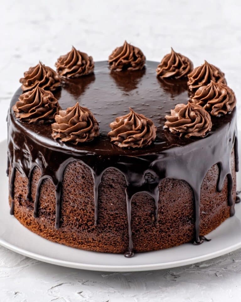 Double Chocolate Cake with Black Velvet Icing Recipe
